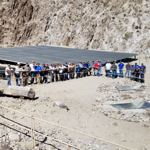 Projects | Nevada Bighorns Unlimited