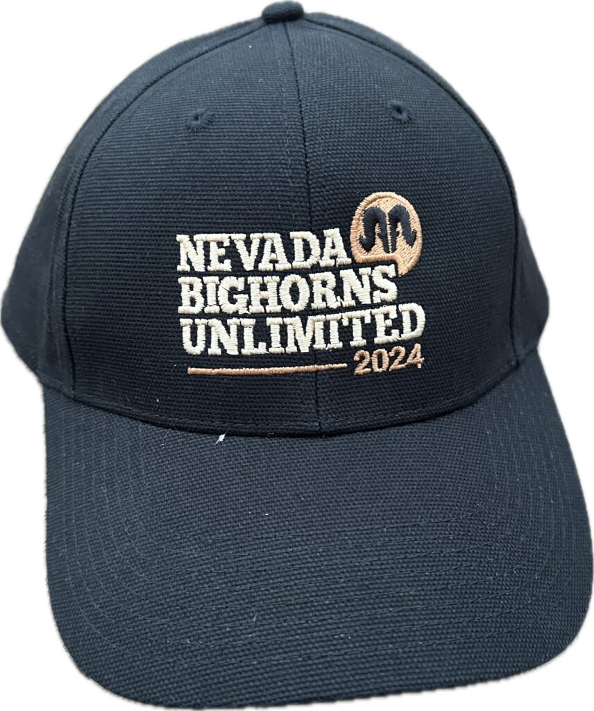 NBU 2024 Cap