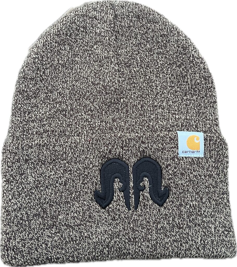 Carhartt Beanie