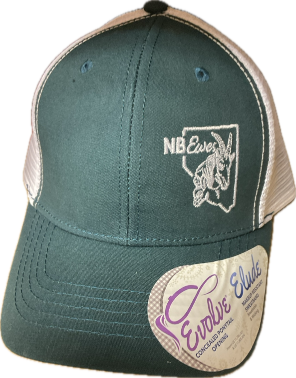 Women's NBEwes Teal/White Meshback