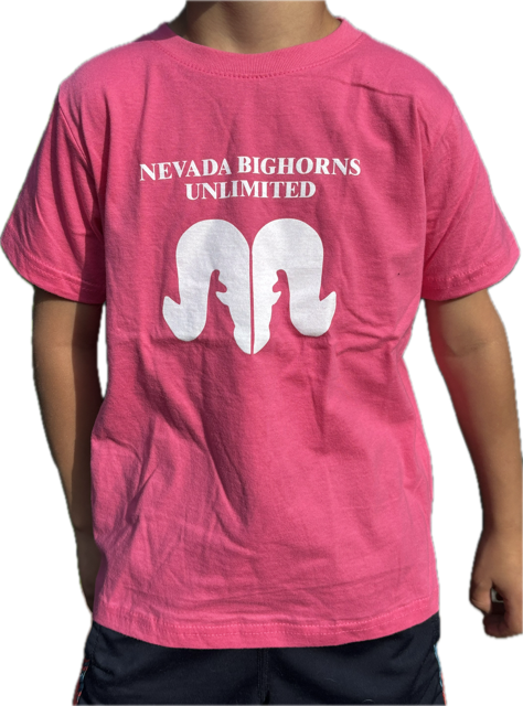 NBU Youth Pink Shirt