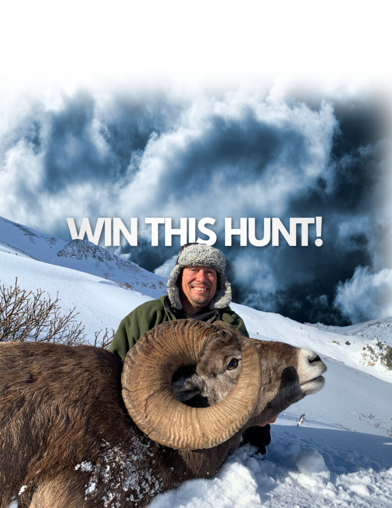 2026 Alberta Rocky Mountain Bighorn Sheep Hunt Raffle 