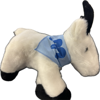 Stuffed Mountain Goat