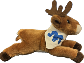 Stuffed Deer