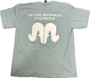 NBU Youth Teal Shirt